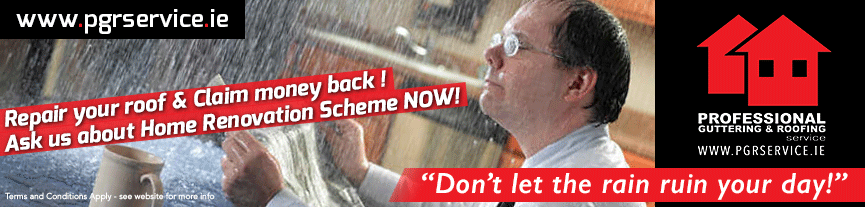 Professional Guttering and Roofing Services